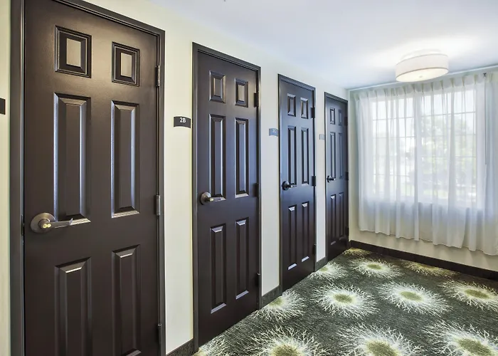Staybridge Suites Cleveland Mayfield Heights Beachwood By Ihg