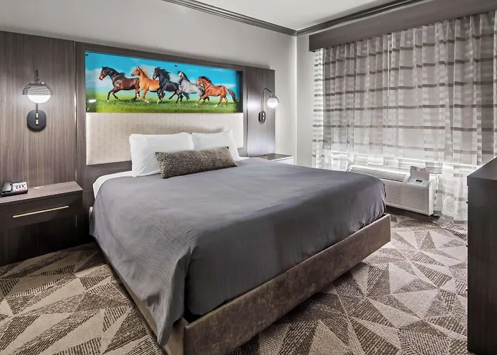 Big Country Hotel & Suites, Surestay Collection By BW