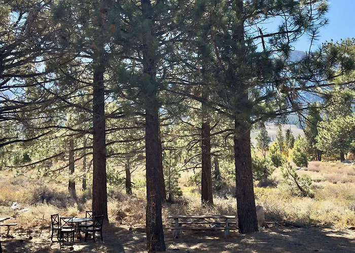 The Mammoth Creek Inn