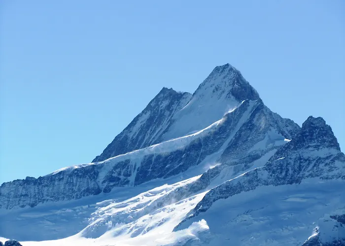 Alpenhof