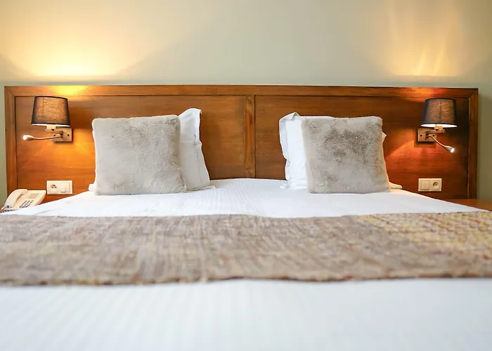 Hotel de Flandre Ghent