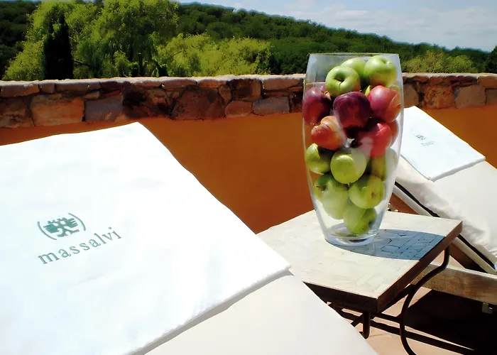 Mas Salvi Country Boutique Hotel