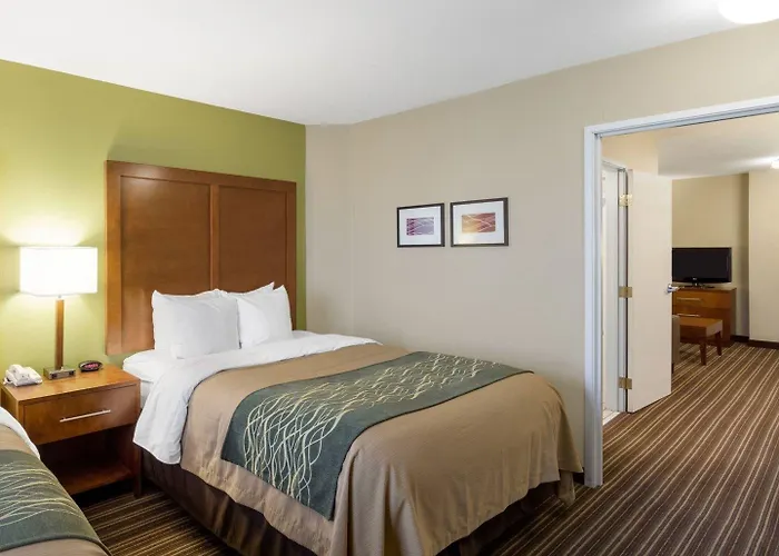 Comfort Inn & Suites Fayetteville-University Area