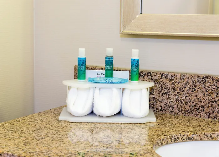 Holiday Inn Express Hotel & Suites Grand Rapids-North By Ihg