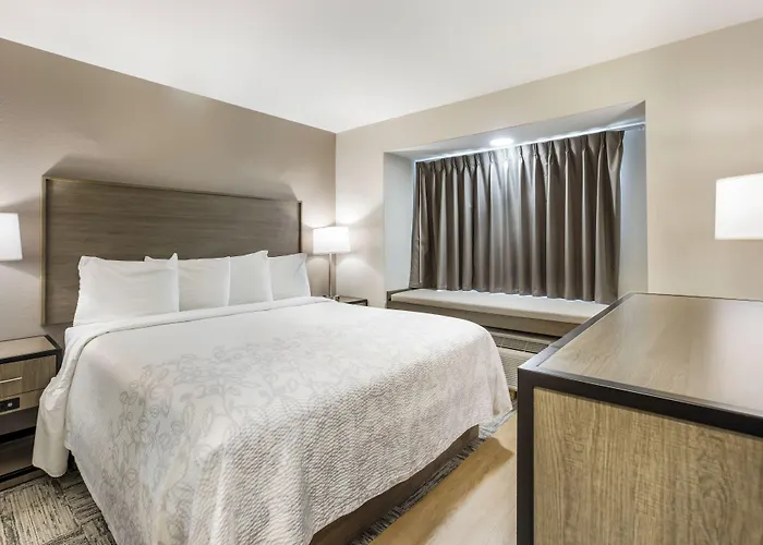 Red Roof Inn Plus+ & Suites Savannah - I-95