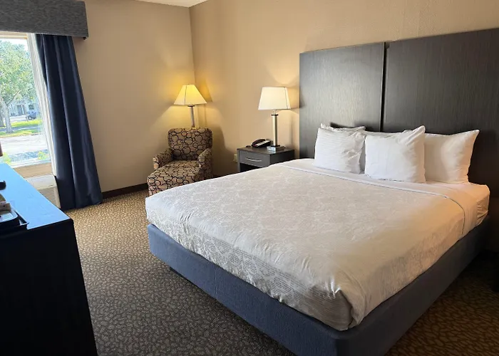 Comfort Inn & Suites Bradenton North I-75