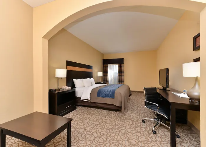 Comfort Inn & Suites At Stone Mountain
