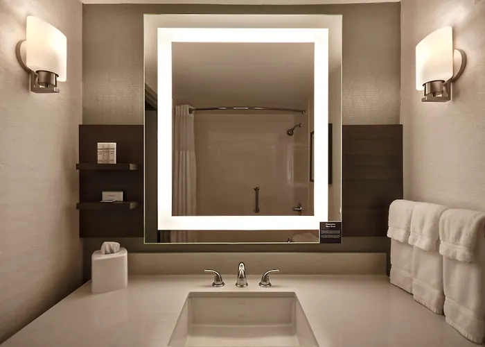 Hilton Garden Inn Detroit Metro Airport
