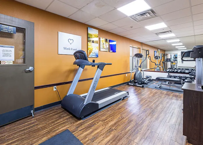 Comfort Suites Lake Jackson Clute