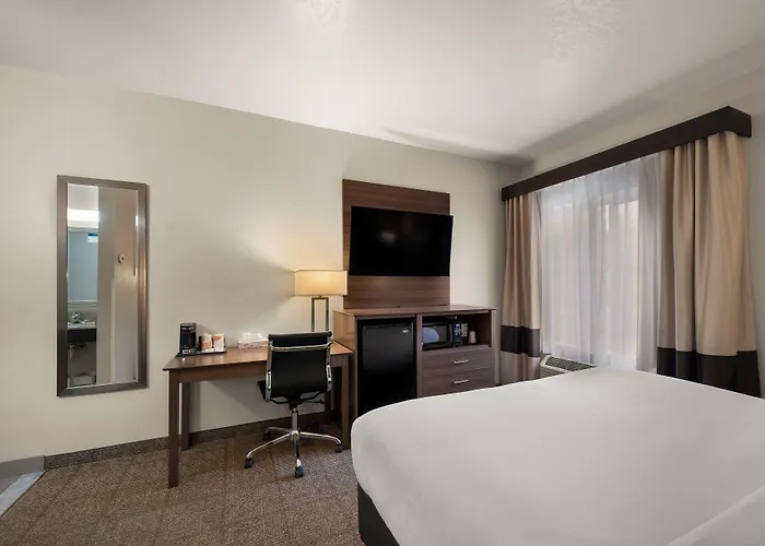 Comfort Inn & Suites Fenton