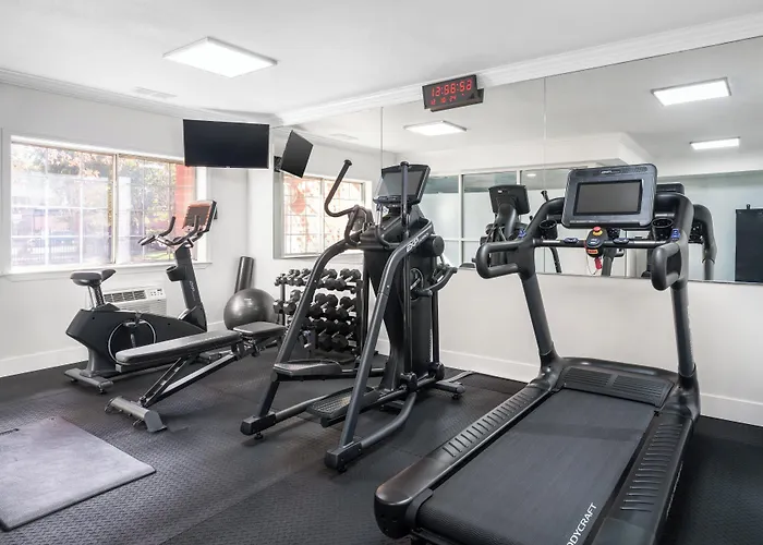 Holiday Inn & Suites San Mateo - Sfo By Ihg