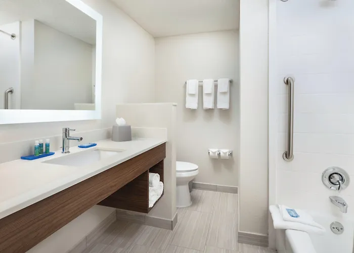 Holiday Inn Express Hotel & Suites Irving Dfw Airport North By Ihg