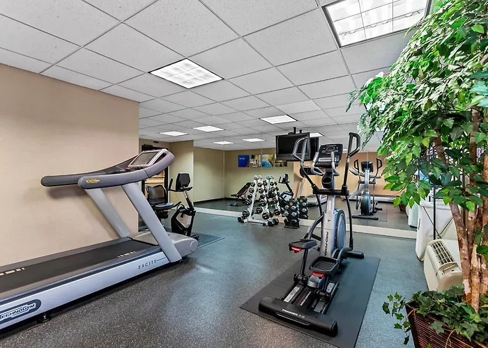 Comfort Inn&Suites Somerset - New Brunswick