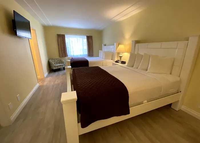 Hollywood Celebrity Hotel
