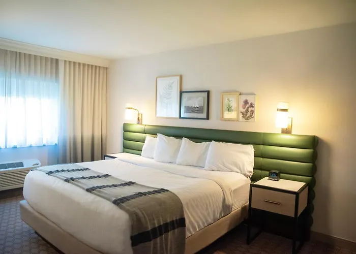 The Ingleside Hotel