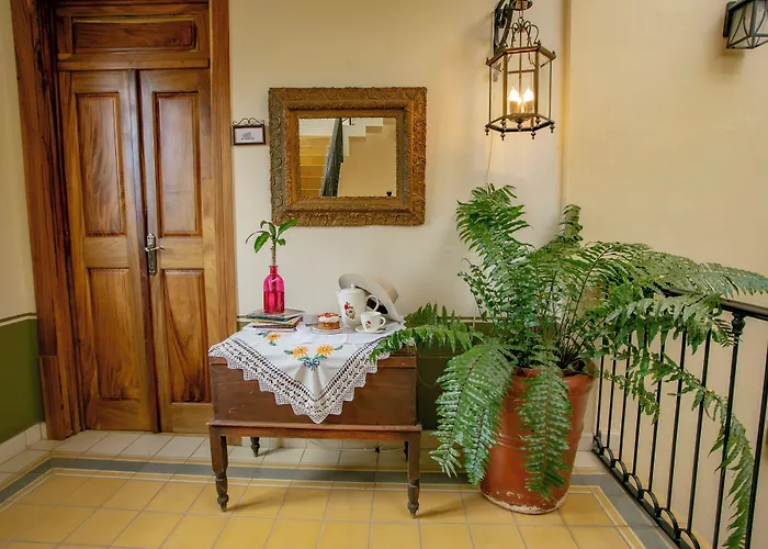 Grand Casa Naranjos, Hospedaje Alteno