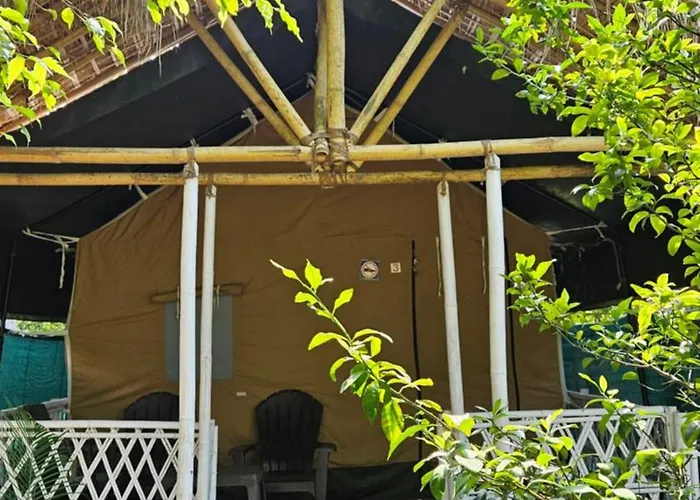 Kodom Bari Retreat, Kaziranga