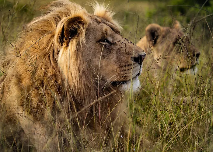Garden Route Safari Camp