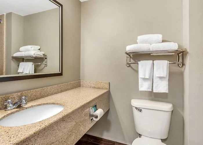 Comfort Inn & Suites North Charleston - Northwoods