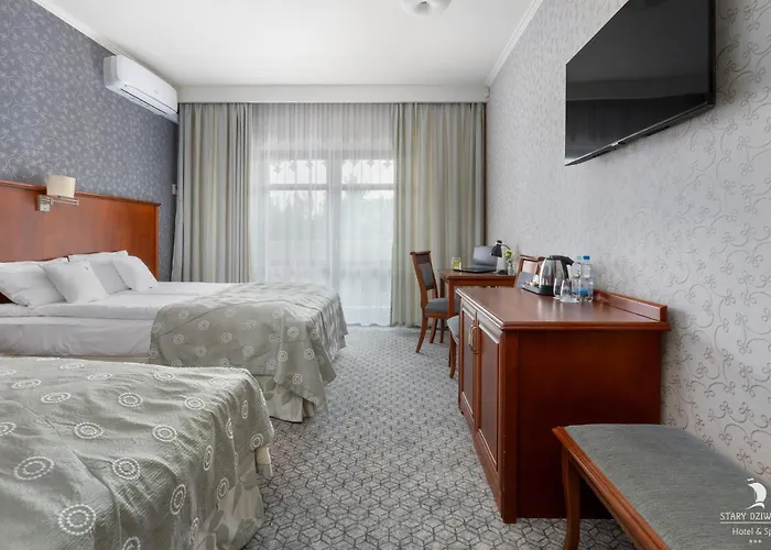 Hotel&Spa Stary Dziwnow Basen Swimming Pool