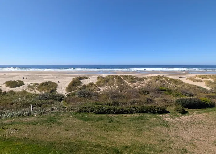 Driftwood Shores Resort