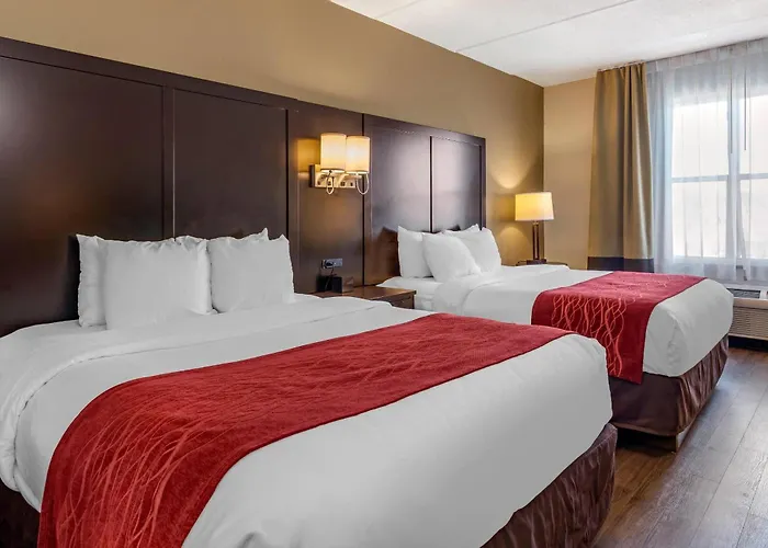 Comfort Inn & Suites Near Six Flags