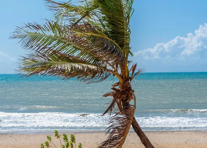 Ronco do Mar Jeri