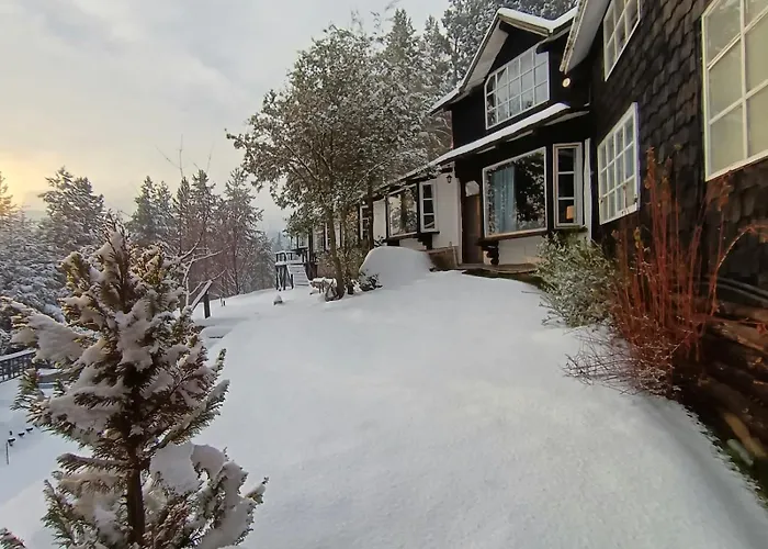 The Patagonian Lodge