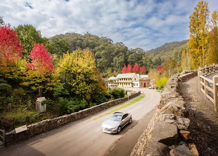 Walhalla'S Star Hotel