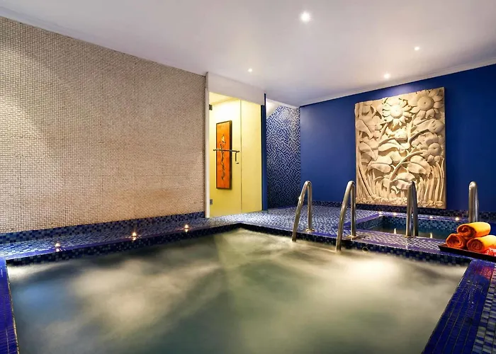 Ibis Styles Solo