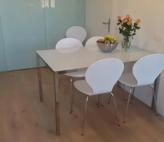 Carouge Loft Apartment