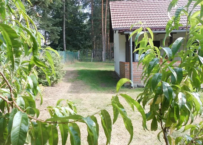 Wald&Wiesengeflüster Zechlinerhütte