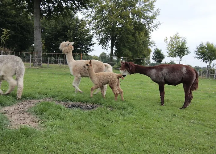 Ferienwohnung Margot