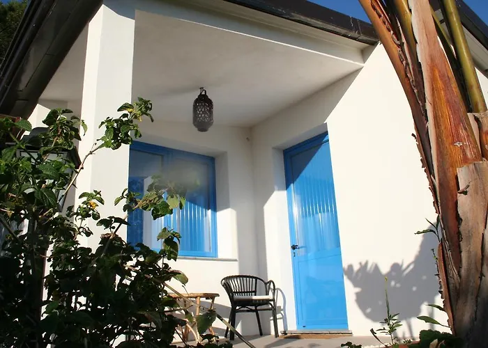 Avocado B&B Beyond