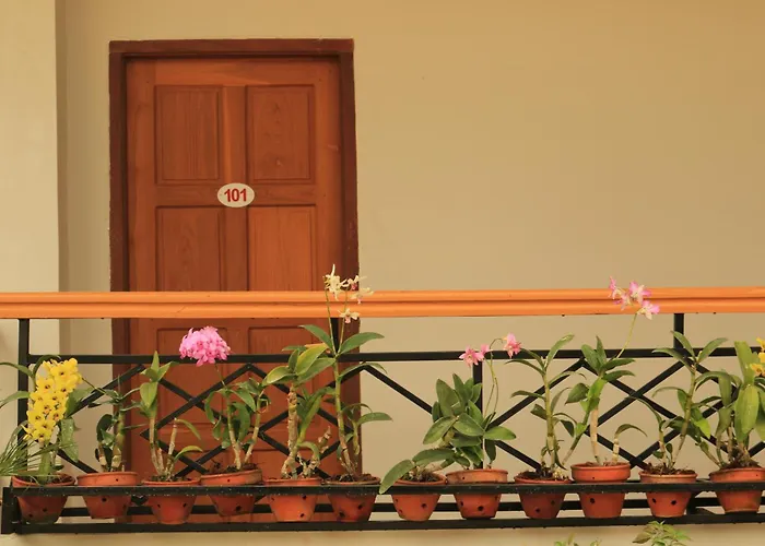 Golden Lotus Inle Hotel