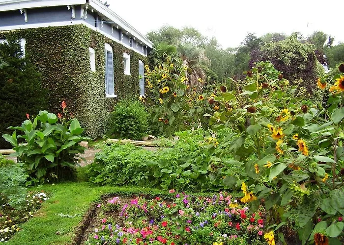 Hotel Alihuen