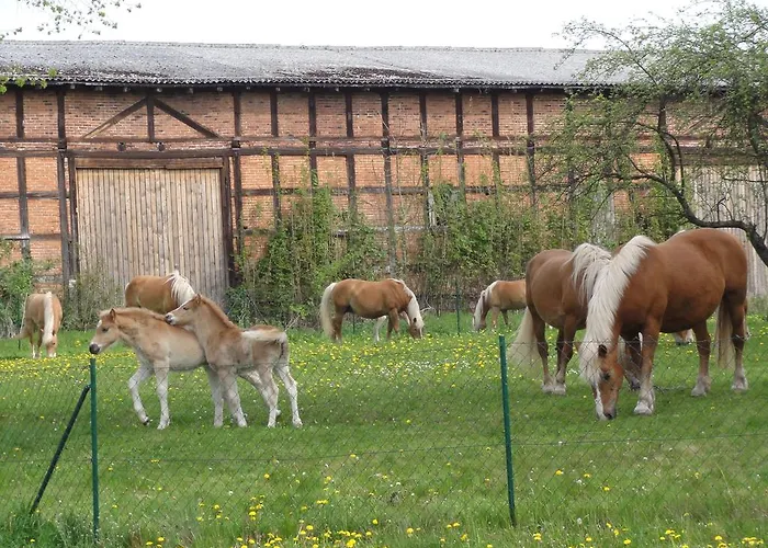 Ferienwohnung Siebmann