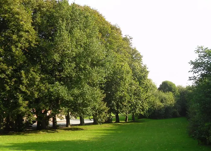 Hellesvang