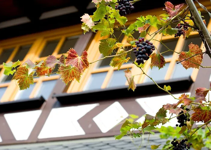 Landgasthof Rebstock