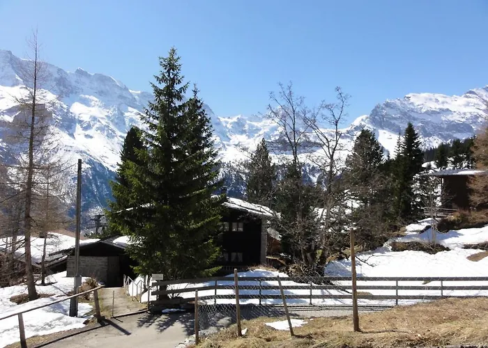 Chalet Schönbühl