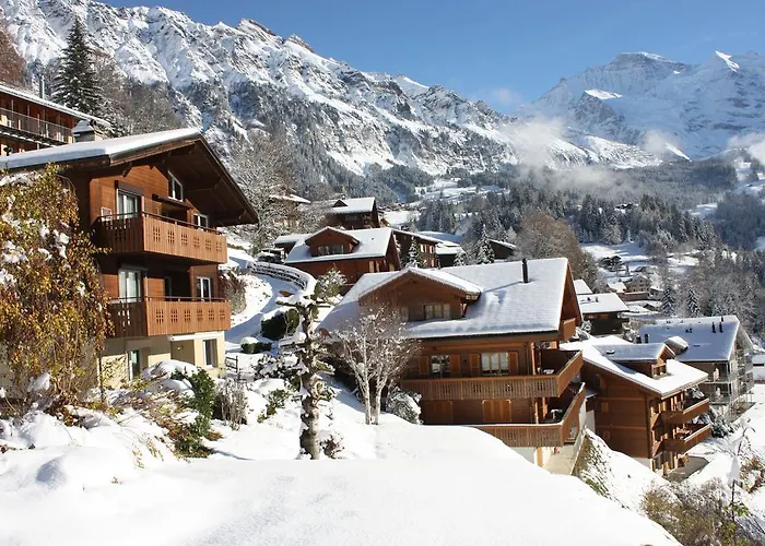 Chalet Gerbera