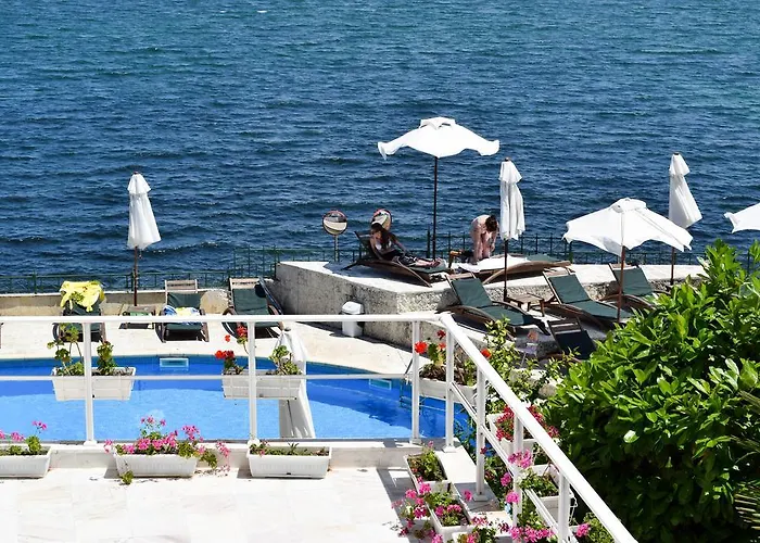 Peter Hotel