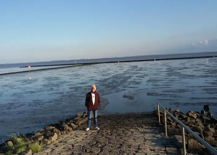 Goden Wind 20