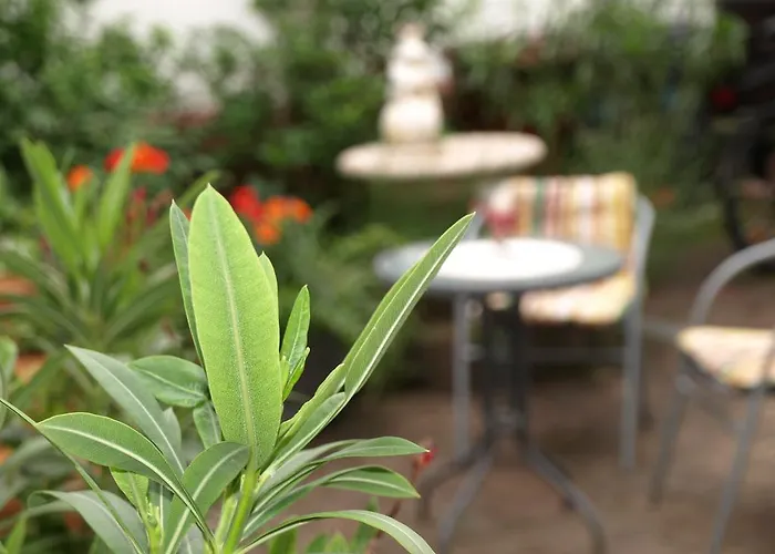 Ferienwohnung Klatschmohn