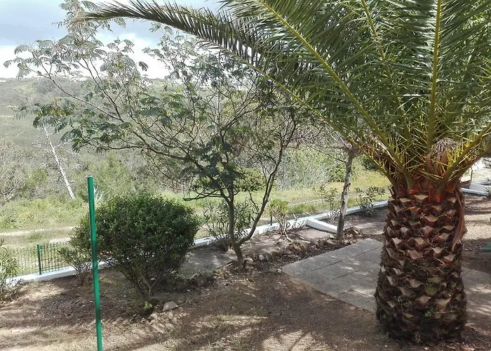 Casa Dos Pinheiros