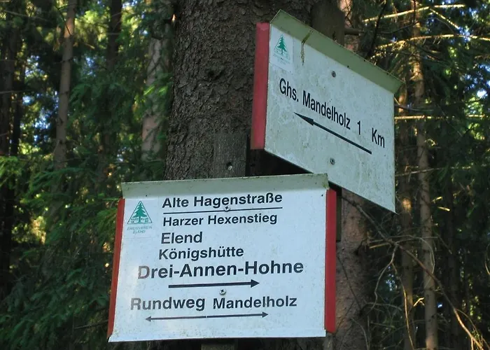 Hotel Grüne Tanne Mandelholz