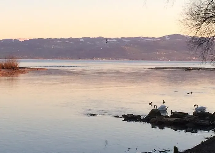 Ferienwohnung am Bodensee
