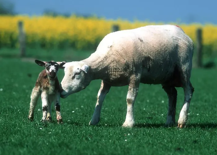 Hafenambiente