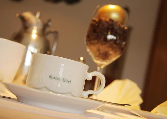 Hotel Edel