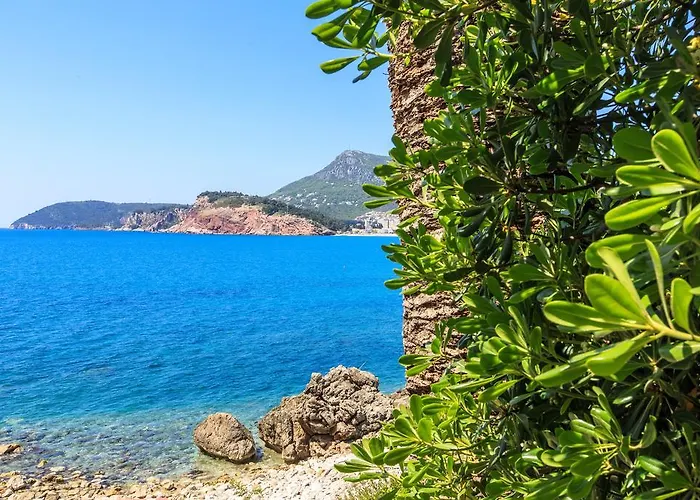Apartmani Capri